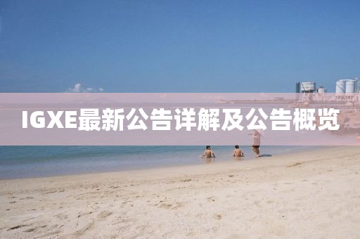 IGXE最新公告詳解及公告概覽