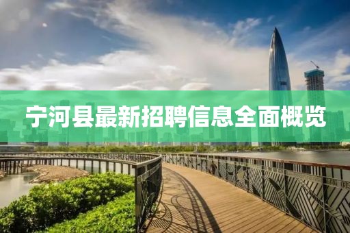 寧河縣最新招聘信息全面概覽