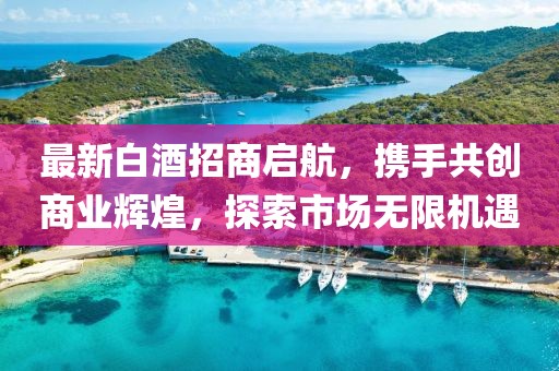 最新白酒招商啟航，攜手共創(chuàng)商業(yè)輝煌，探索市場無限機遇