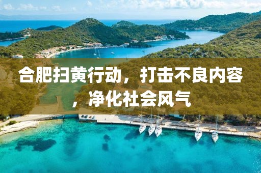 合肥掃黃行動，打擊不良內(nèi)容，凈化社會風(fēng)氣