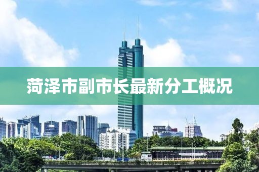 菏澤市副市長(zhǎng)最新分工概況