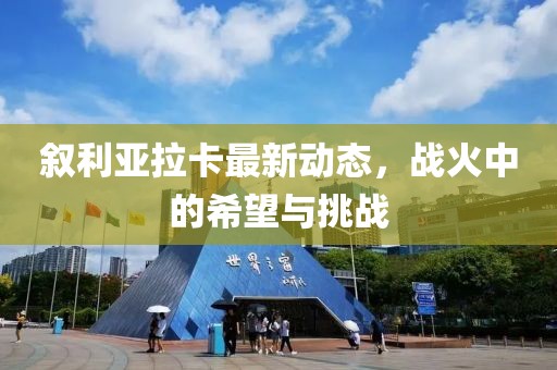 敘利亞拉卡最新動態(tài)，戰(zhàn)火中的希望與挑戰(zhàn)