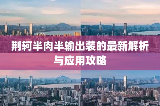 荊軻半肉半輸出裝的最新解析與應(yīng)用攻略