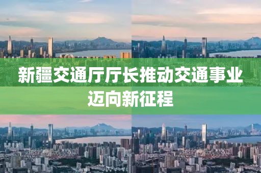 新疆交通廳廳長(zhǎng)推動(dòng)交通事業(yè)邁向新征程