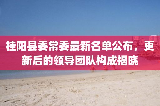 桂陽縣委常委最新名單公布，更新后的領(lǐng)導(dǎo)團(tuán)隊(duì)構(gòu)成揭曉