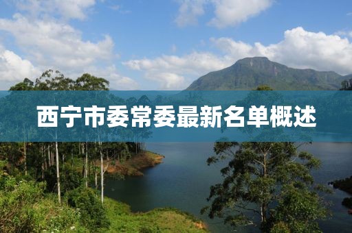 西寧市委常委最新名單概述