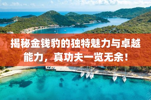 揭秘金錢豹的獨(dú)特魅力與卓越能力，真功夫一覽無余！
