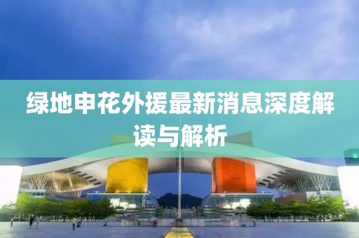 綠地申花外援最新消息深度解讀與解析