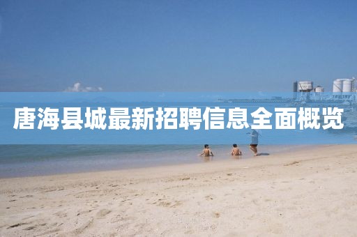 唐?？h城最新招聘信息全面概覽