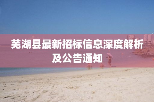 蕪湖縣最新招標信息深度解析及公告通知