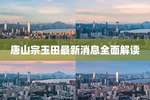 唐山宗玉田最新消息全面解讀
