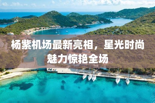 楊紫機場最新亮相，星光時尚魅力驚艷全場