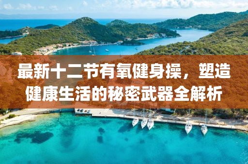 最新十二節(jié)有氧健身操，塑造健康生活的秘密武器全解析