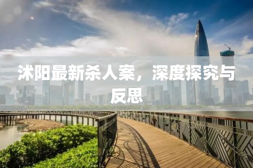 沭陽最新殺人案，深度探究與反思