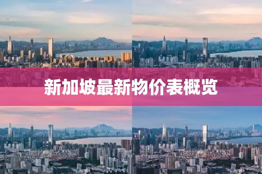 新加坡最新物價(jià)表概覽