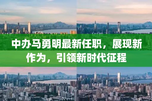中辦馬勇明最新任職，展現(xiàn)新作為，引領(lǐng)新時(shí)代征程