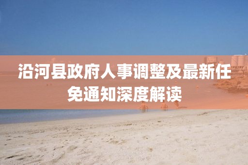 沿河縣政府人事調(diào)整及最新任免通知深度解讀