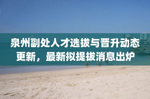 泉州副處人才選拔與晉升動態(tài)更新，最新擬提拔消息出爐