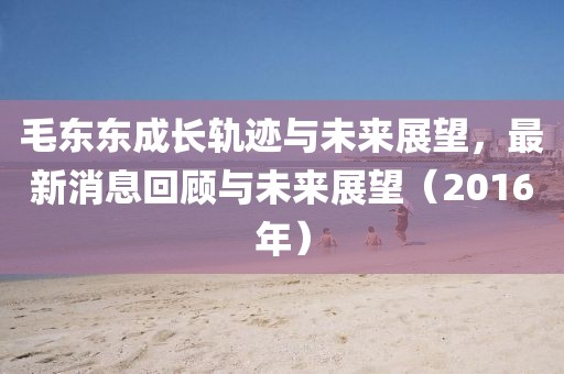 毛東東成長軌跡與未來展望，最新消息回顧與未來展望（2016年）