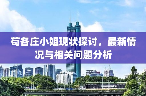 茍各莊小姐現(xiàn)狀探討，最新情況與相關(guān)問(wèn)題分析