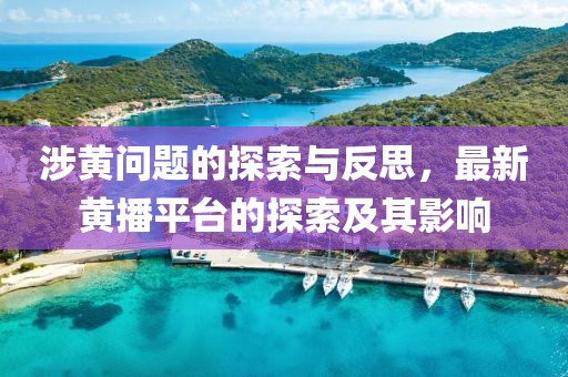涉黃問題的探索與反思，最新黃播平臺(tái)的探索及其影響