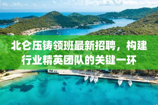 北侖壓鑄領(lǐng)班最新招聘，構(gòu)建行業(yè)精英團(tuán)隊(duì)的關(guān)鍵一環(huán)