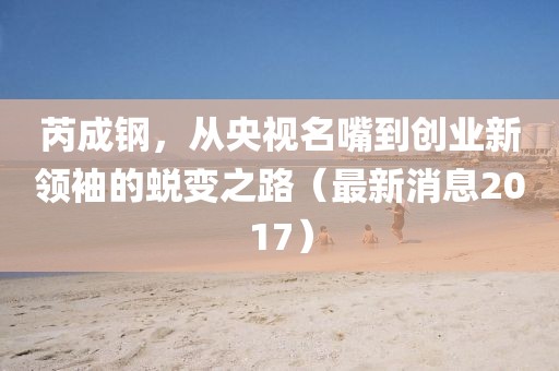 芮成鋼，從央視名嘴到創(chuàng)業(yè)新領(lǐng)袖的蛻變之路（最新消息2017）