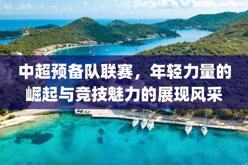 中超預備隊聯賽，年輕力量的崛起與競技魅力的展現風采