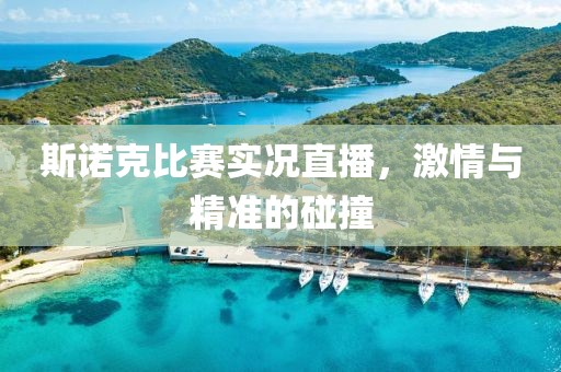 斯諾克比賽實況直播，激情與精準(zhǔn)的碰撞