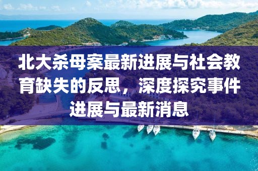 北大殺母案最新進(jìn)展與社會(huì)教育缺失的反思，深度探究事件進(jìn)展與最新消息