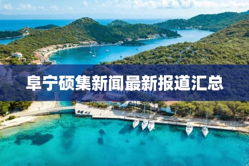 阜寧碩集新聞最新報道匯總
