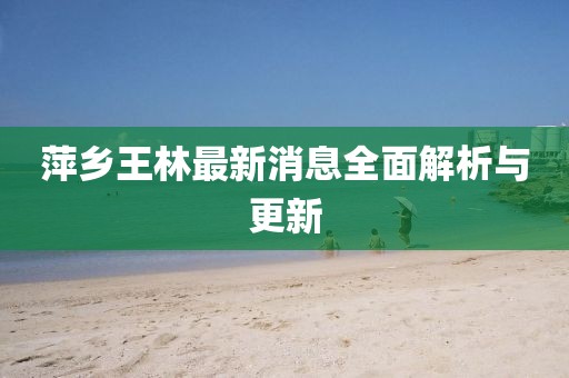 萍鄉(xiāng)王林最新消息全面解析與更新