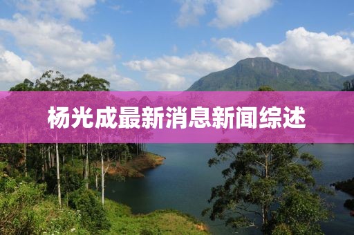 楊光成最新消息新聞綜述