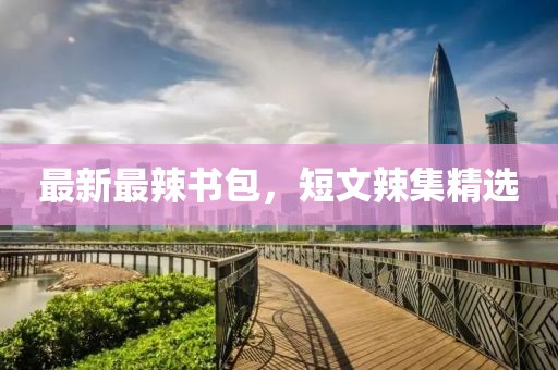 最新最辣書(shū)包，短文辣集精選