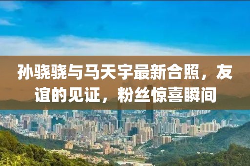 孫驍驍與馬天宇最新合照，友誼的見(jiàn)證，粉絲驚喜瞬間
