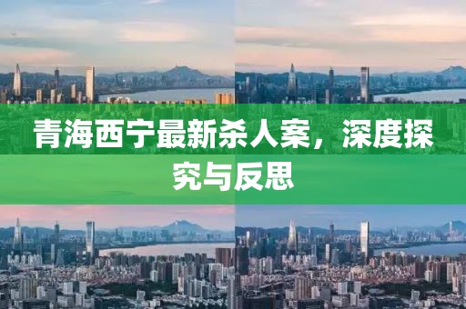 青海西寧最新殺人案，深度探究與反思