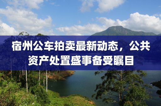 宿州公車拍賣最新動態(tài)，公共資產(chǎn)處置盛事備受矚目