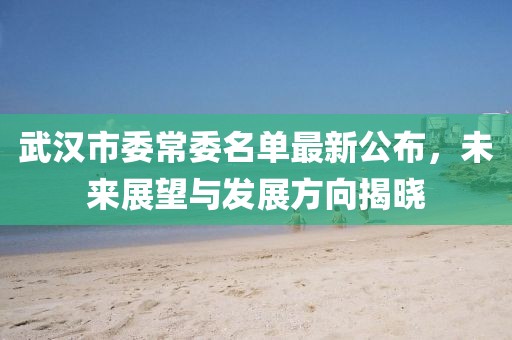 武漢市委常委名單最新公布，未來展望與發(fā)展方向揭曉