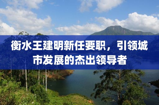 衡水王建明新任要職，引領(lǐng)城市發(fā)展的杰出領(lǐng)導(dǎo)者