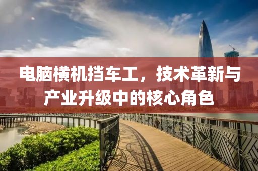 電腦橫機(jī)擋車(chē)工，技術(shù)革新與產(chǎn)業(yè)升級(jí)中的核心角色