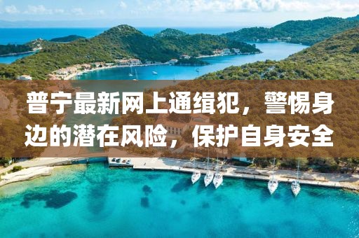 普寧最新網(wǎng)上通緝犯，警惕身邊的潛在風(fēng)險(xiǎn)，保護(hù)自身安全