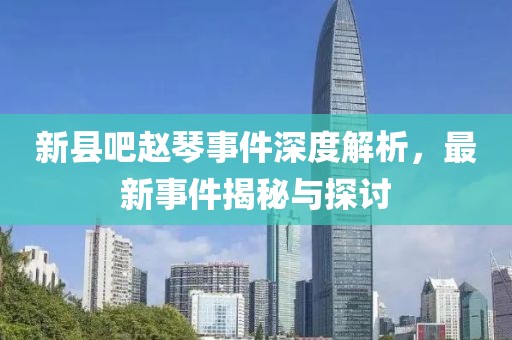 新縣吧趙琴事件深度解析，最新事件揭秘與探討