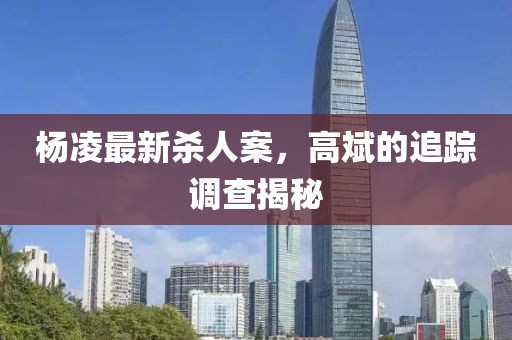 楊凌最新殺人案，高斌的追蹤調(diào)查揭秘