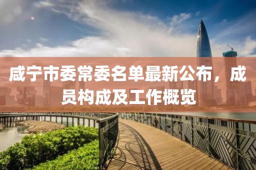 咸寧市委常委名單最新公布，成員構(gòu)成及工作概覽