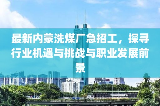 最新內(nèi)蒙洗煤廠急招工，探尋行業(yè)機遇與挑戰(zhàn)與職業(yè)發(fā)展前景