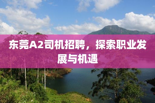 東莞A2司機招聘，探索職業(yè)發(fā)展與機遇