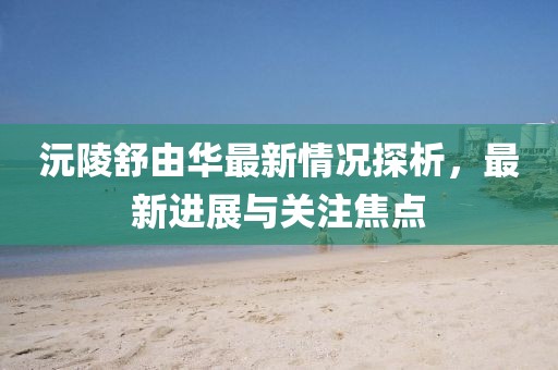 沅陵舒由華最新情況探析，最新進(jìn)展與關(guān)注焦點(diǎn)