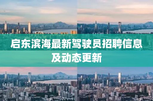 啟東濱海最新駕駛員招聘信息及動態(tài)更新
