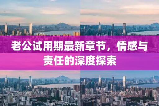 老公試用期最新章節(jié)，情感與責(zé)任的深度探索