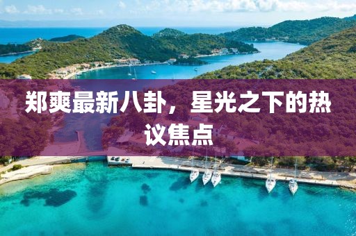 鄭爽最新八卦，星光之下的熱議焦點(diǎn)